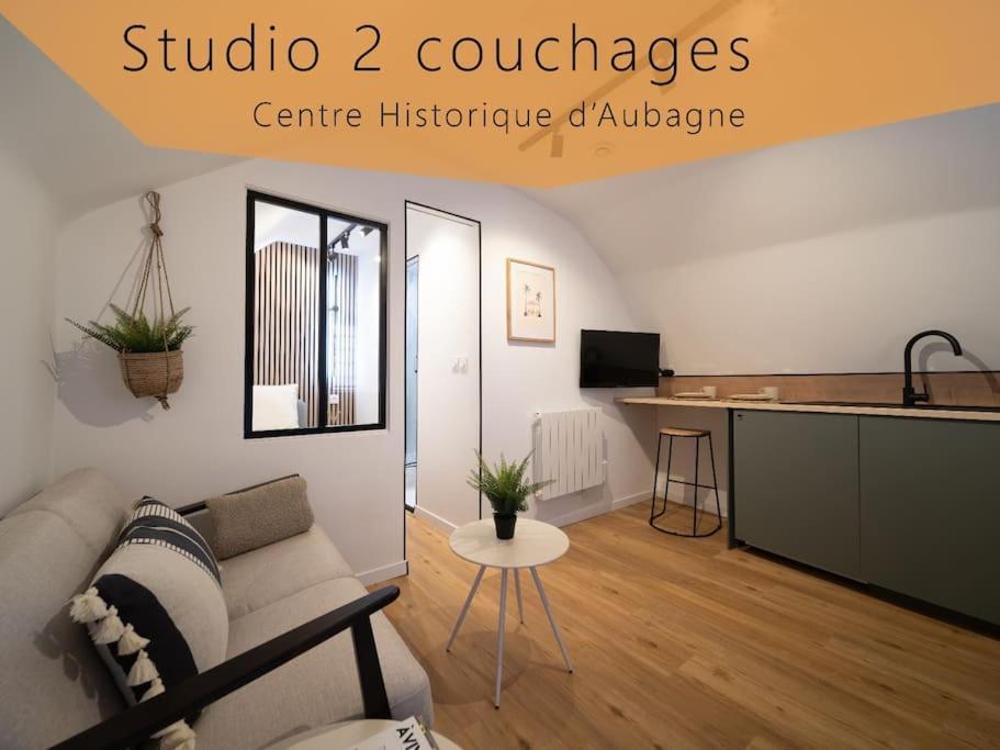 Le Cocon - Petit Studio 2 Couchages - Centre Historique 欧巴涅 外观 照片