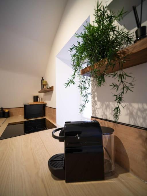 Le Cocon - Petit Studio 2 Couchages - Centre Historique 欧巴涅 外观 照片